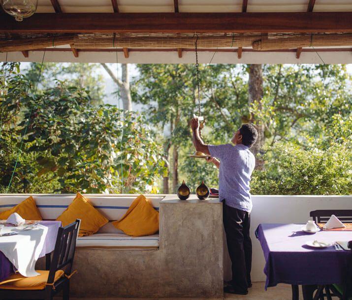 Follow the Trails of Mist-wrapped Tea Country with Ellerton Bungalow