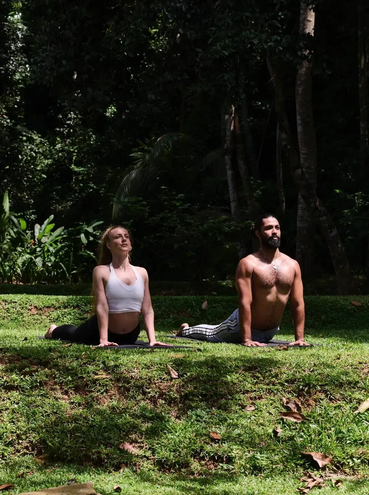 Experience Tea Trails and Wild Elephant Encounters Curated by Kalukanda House